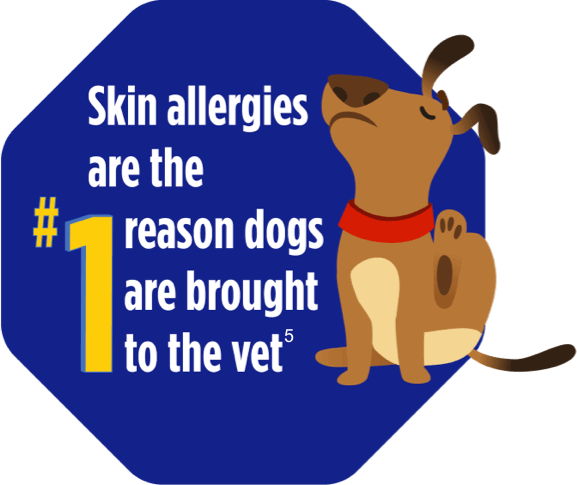 Skin allergies are the #1 reason dogs are brought to the